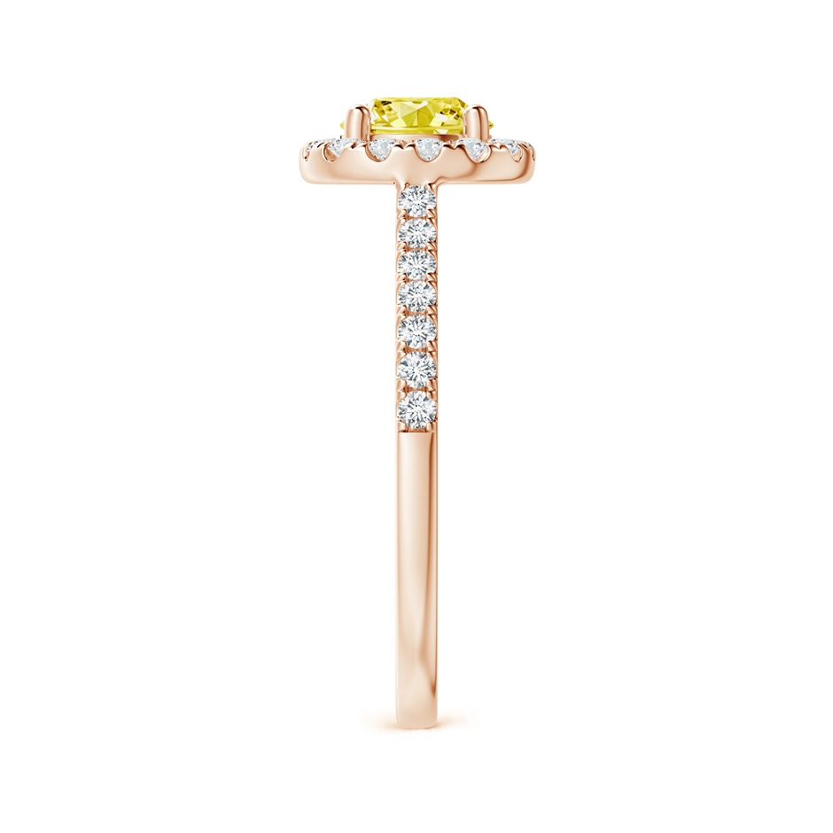 5.8mm AAAA Round Fancy Intense Yellow Diamond Halo Ring with Accents in Rose Gold side 299