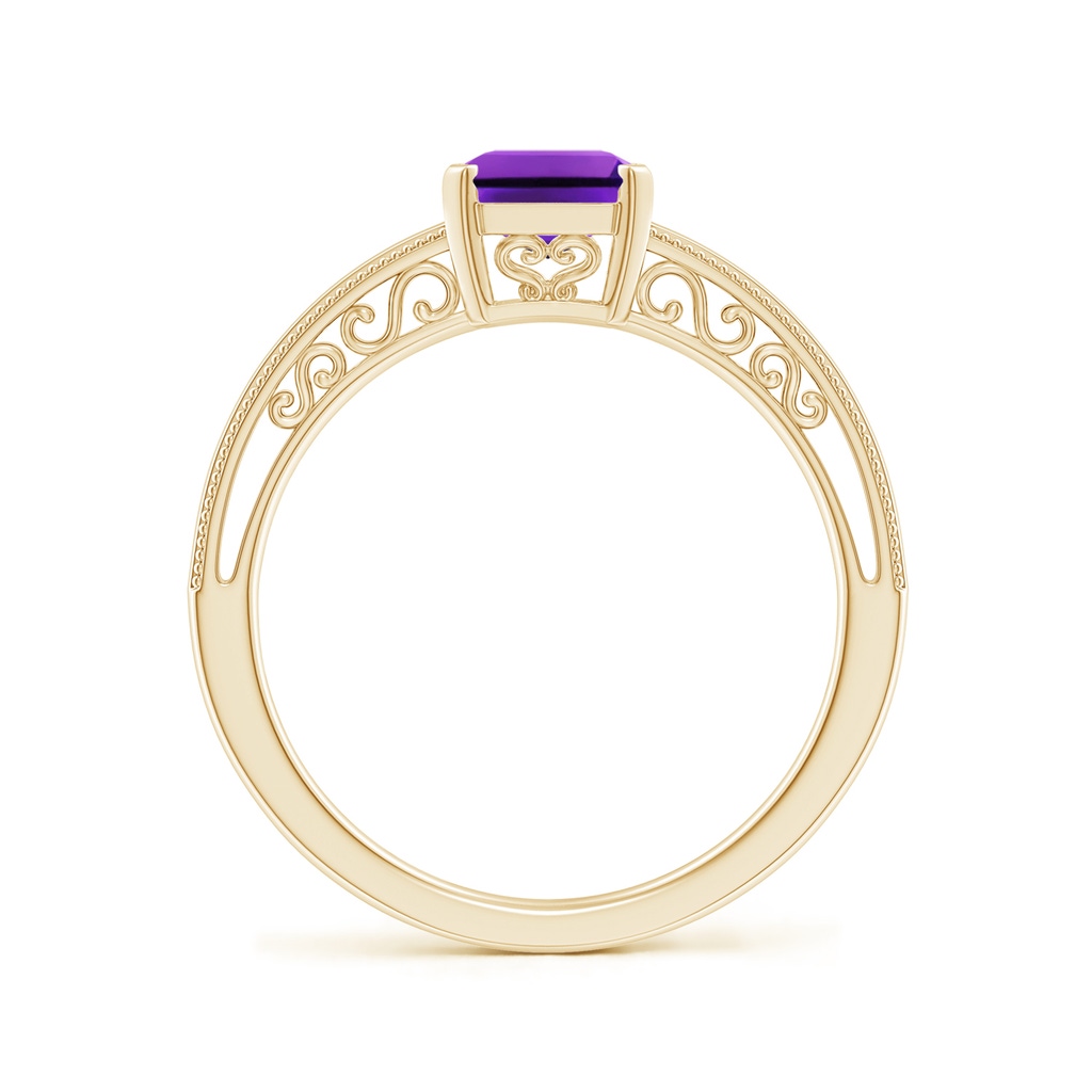8x6mm AAAA Emerald Cut Amethyst Solitaire Ring with Milgrain in Yellow Gold - side_1