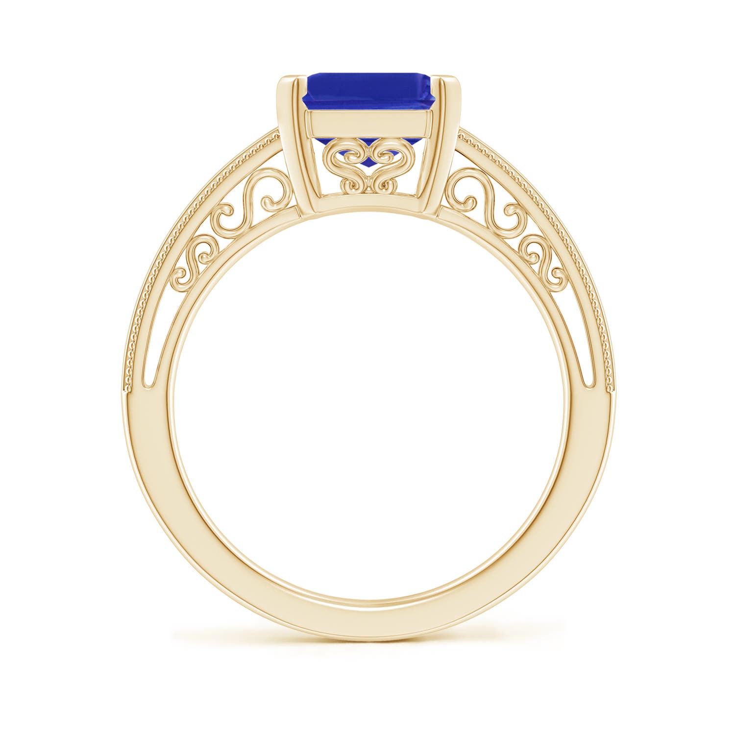 AAAA - Tanzanite / 3.15 CT / 14 KT Yellow Gold