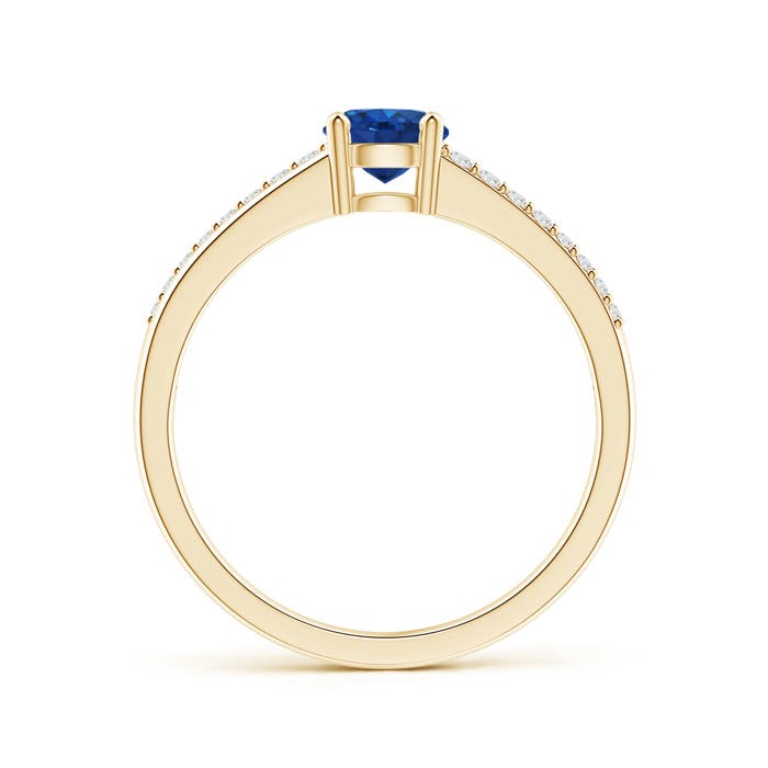 AAA - Blue Sapphire / 0.69 CT / 14 KT Yellow Gold