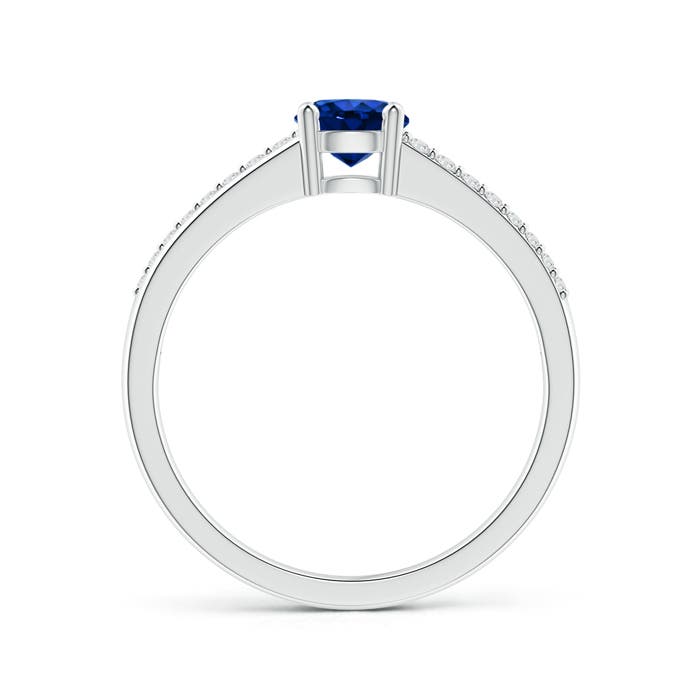 AAAA - Blue Sapphire / 0.69 CT / 14 KT White Gold