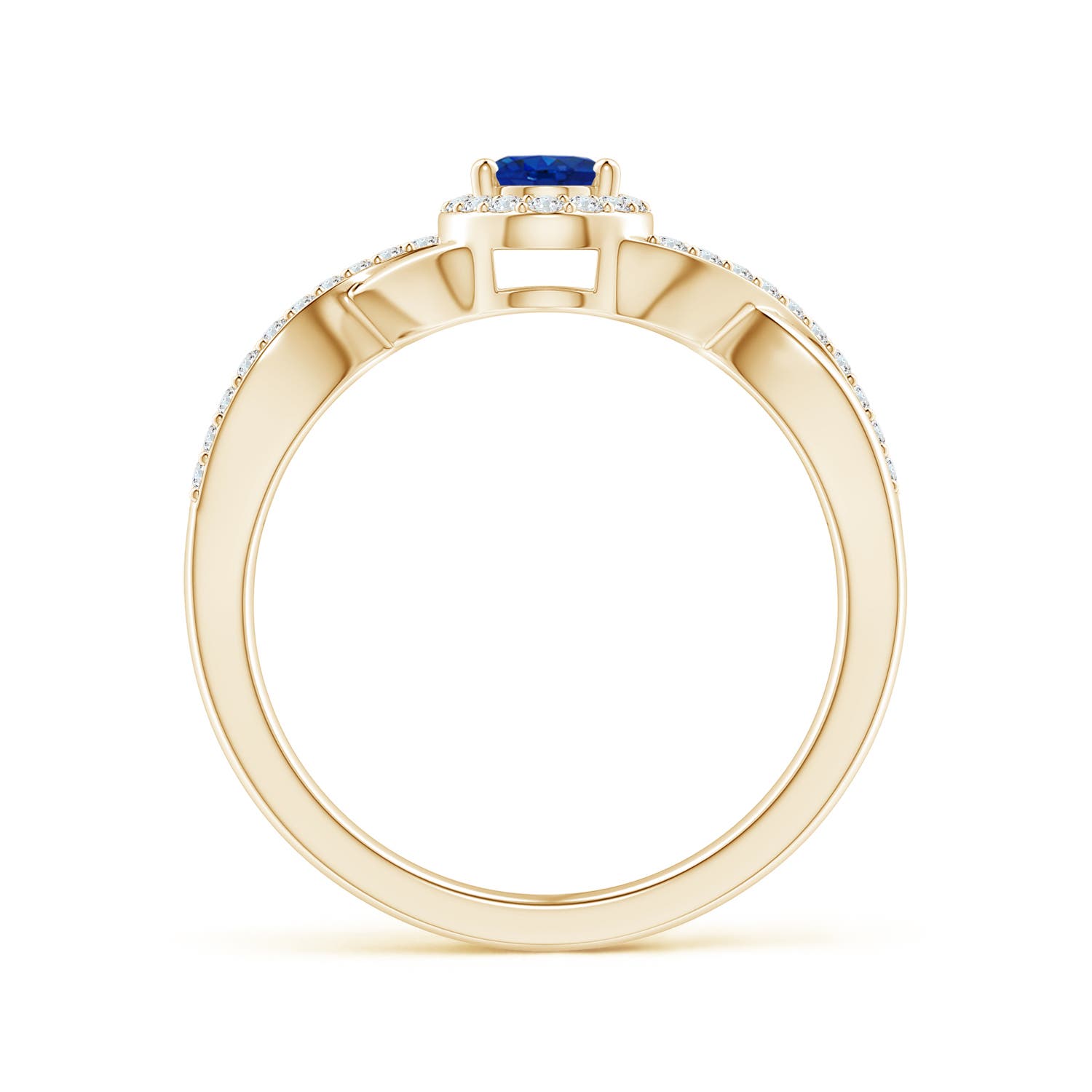 AAA - Blue Sapphire / 0.82 CT / 14 KT Yellow Gold