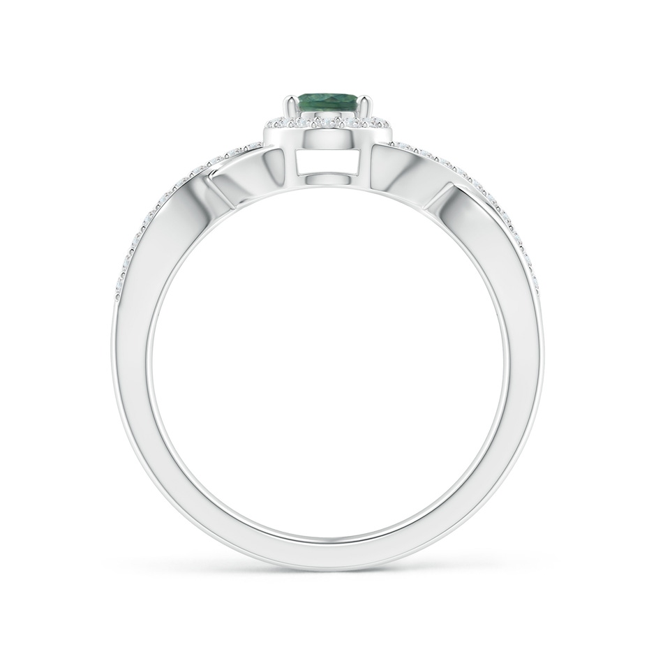 6x4mm AA Oval Teal Montana Sapphire Crossover Ring with Diamond Halo in P950 Platinum side 199