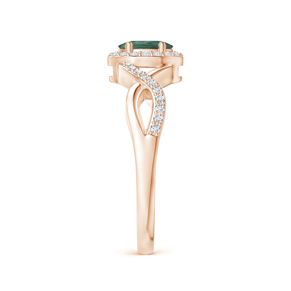6x4mm AA Oval Teal Montana Sapphire Crossover Ring with Diamond Halo in Rose Gold side 299