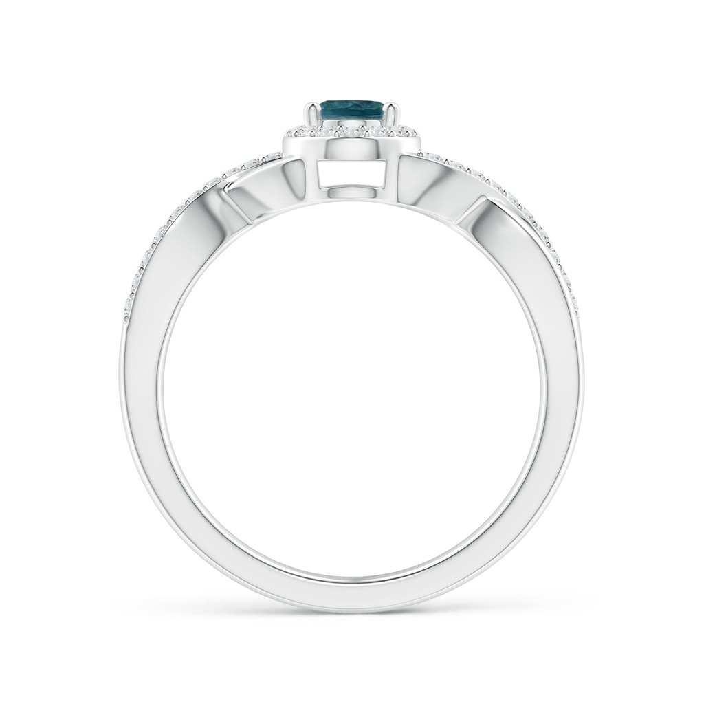 6x4mm AAA Oval Teal Montana Sapphire Crossover Ring with Diamond Halo in P950 Platinum - side 199