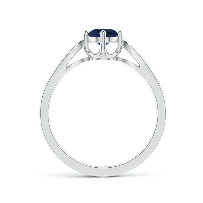 AA - Blue Sapphire / 0.64 CT / 14 KT White Gold