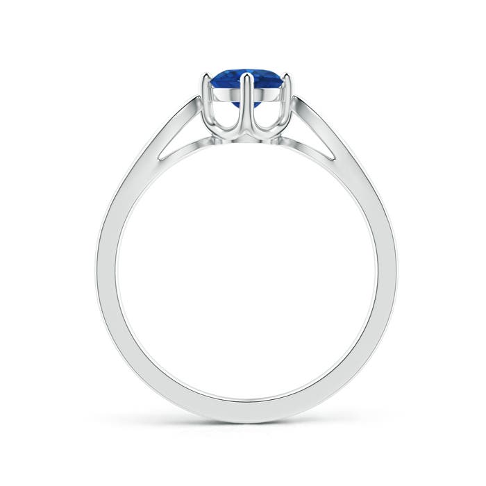 AAA - Blue Sapphire / 0.64 CT / 14 KT White Gold