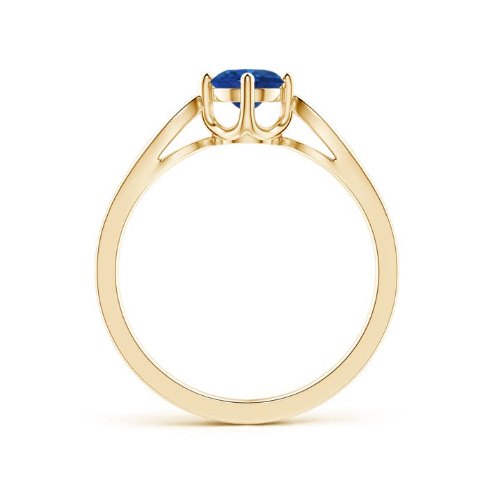 AAA - Blue Sapphire / 0.64 CT / 14 KT Yellow Gold