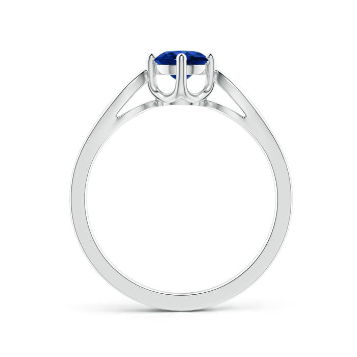 AAAA - Blue Sapphire / 0.64 CT / 14 KT White Gold