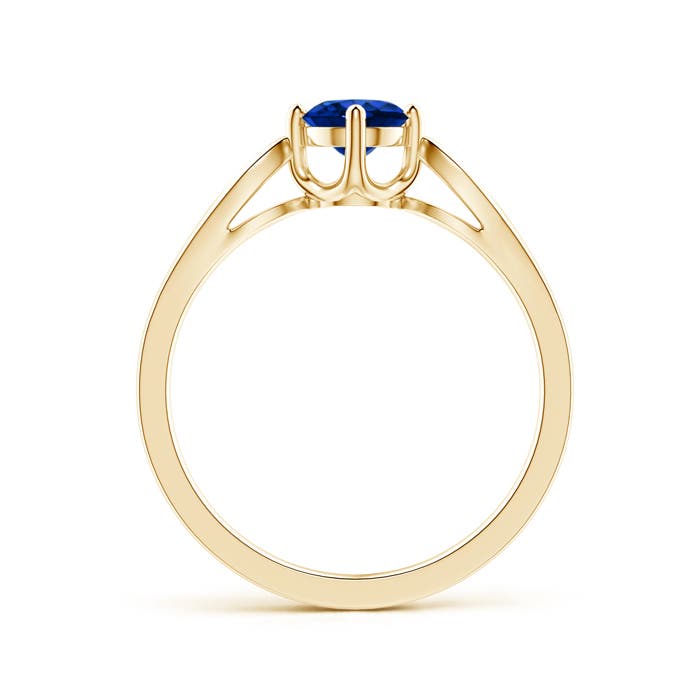 AAAA - Blue Sapphire / 0.64 CT / 14 KT Yellow Gold