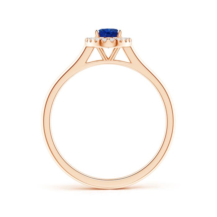 AAA - Blue Sapphire / 0.71 CT / 14 KT Rose Gold