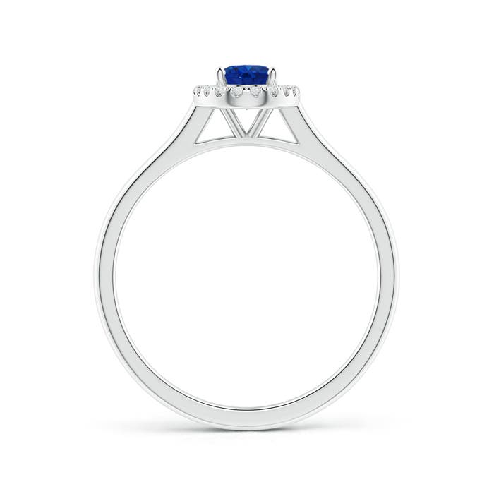 AAA - Blue Sapphire / 0.71 CT / 14 KT White Gold