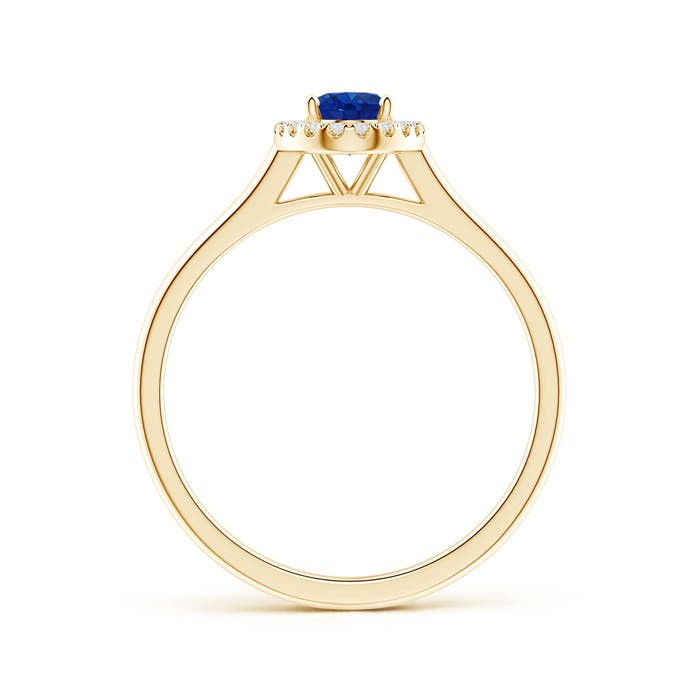 AAA - Blue Sapphire / 0.71 CT / 14 KT Yellow Gold