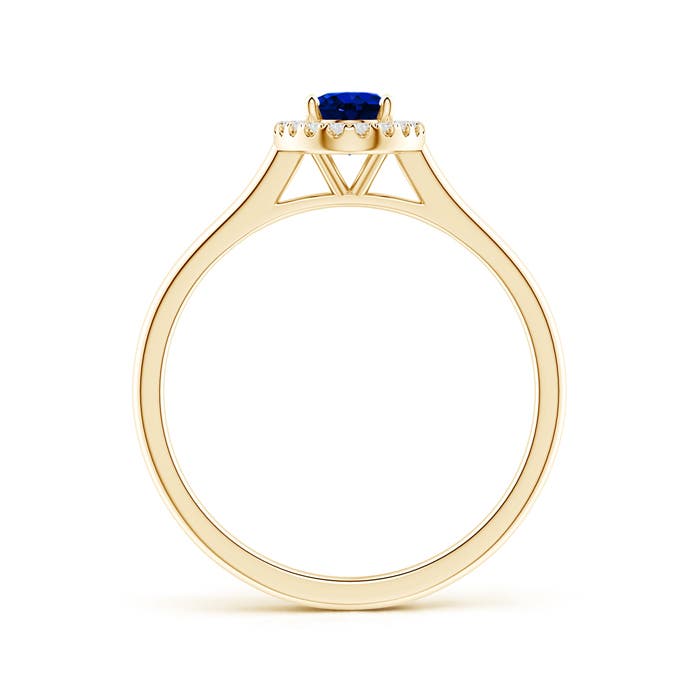 AAAA - Blue Sapphire / 0.71 CT / 14 KT Yellow Gold