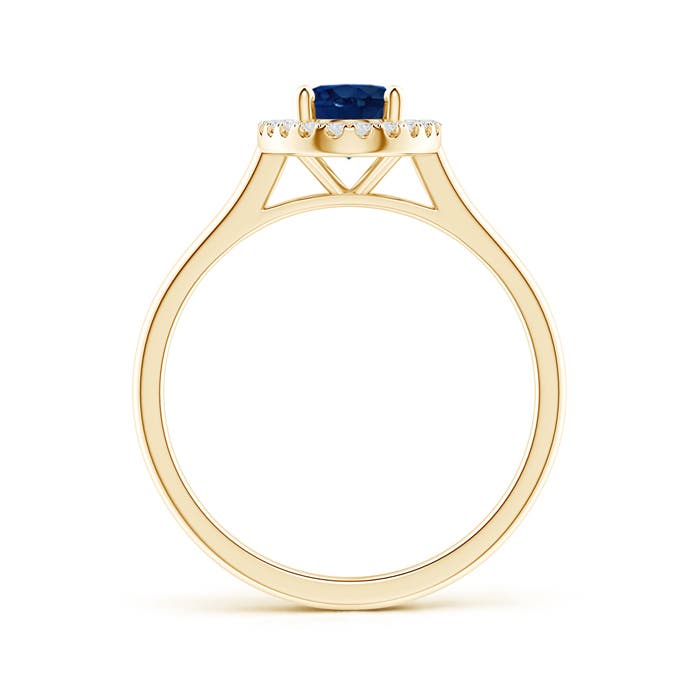 AA - Blue Sapphire / 0.99 CT / 14 KT Yellow Gold