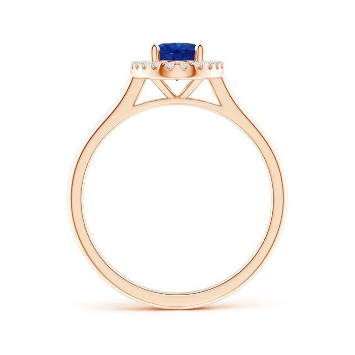 AAA - Blue Sapphire / 0.99 CT / 14 KT Rose Gold