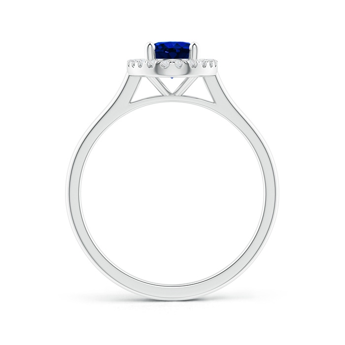 7x5mm AAAA Prong-Set Oval Blue Sapphire Halo Ring in White Gold Product Image