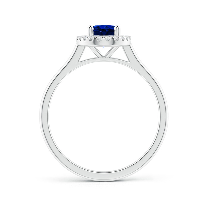 7x5mm AAAA Prong-Set Oval Blue Sapphire Halo Ring in White Gold product image