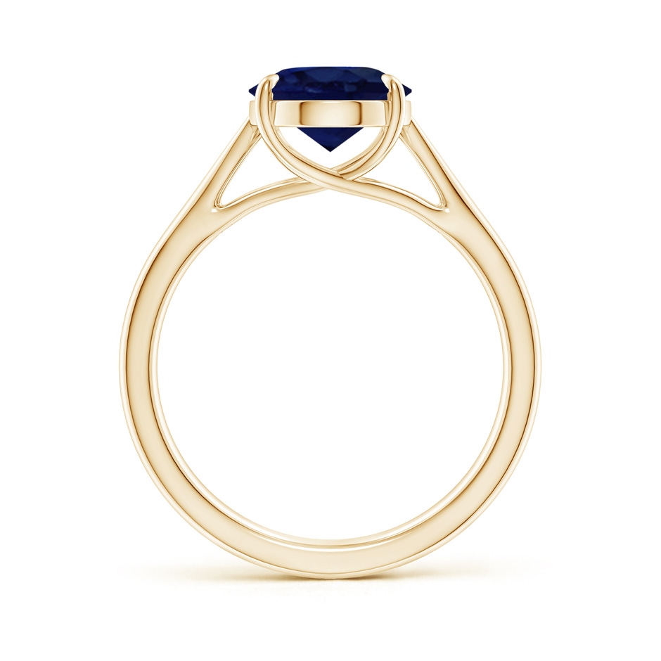 10x8mm A Prong-Set Oval Sapphire Cathedral Solitaire Ring in Yellow Gold side 199