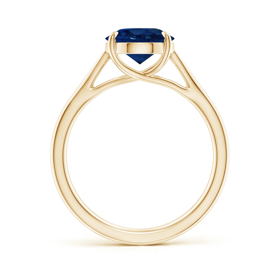 10x8mm AA Prong-Set Oval Sapphire Cathedral Solitaire Ring in Yellow Gold side 199