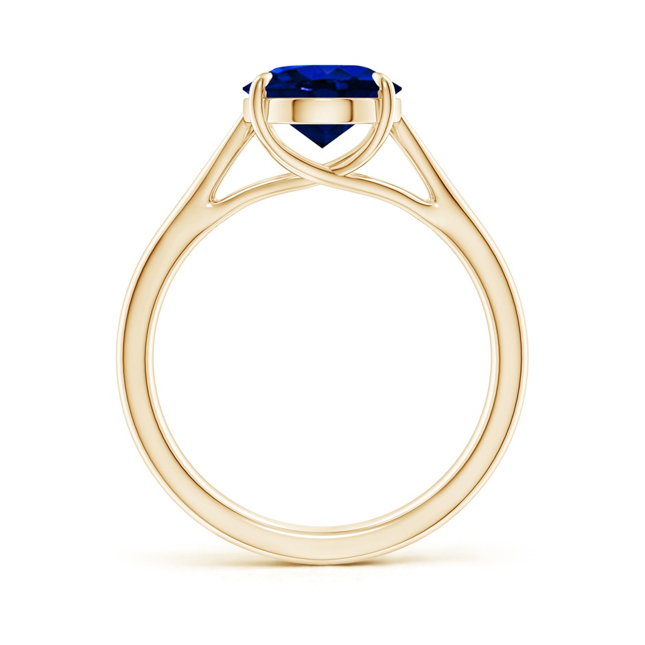 10x8mm AAAA Prong-Set Oval Sapphire Cathedral Solitaire Ring in 18K Yellow Gold side 199