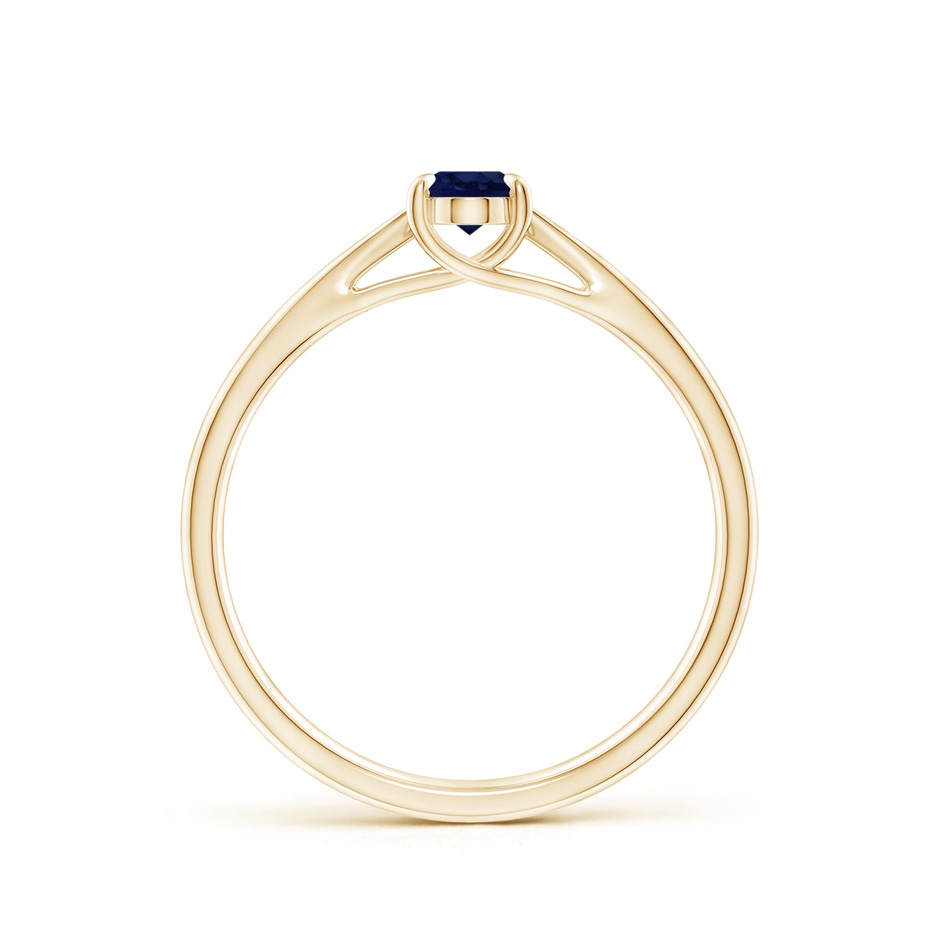 6x4mm A Prong-Set Oval Sapphire Cathedral Solitaire Ring in Yellow Gold side 199