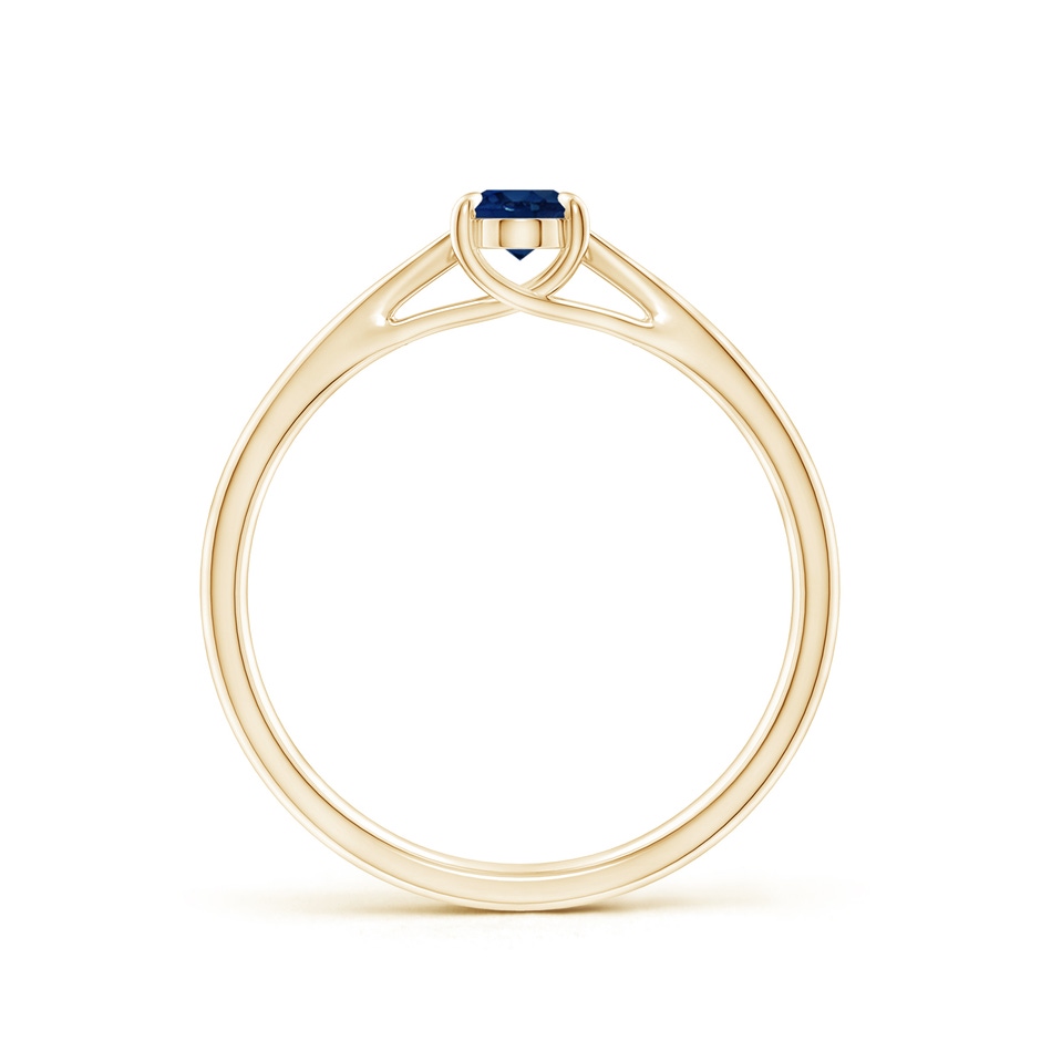 6x4mm AA Prong-Set Oval Sapphire Cathedral Solitaire Ring in Yellow Gold side 199