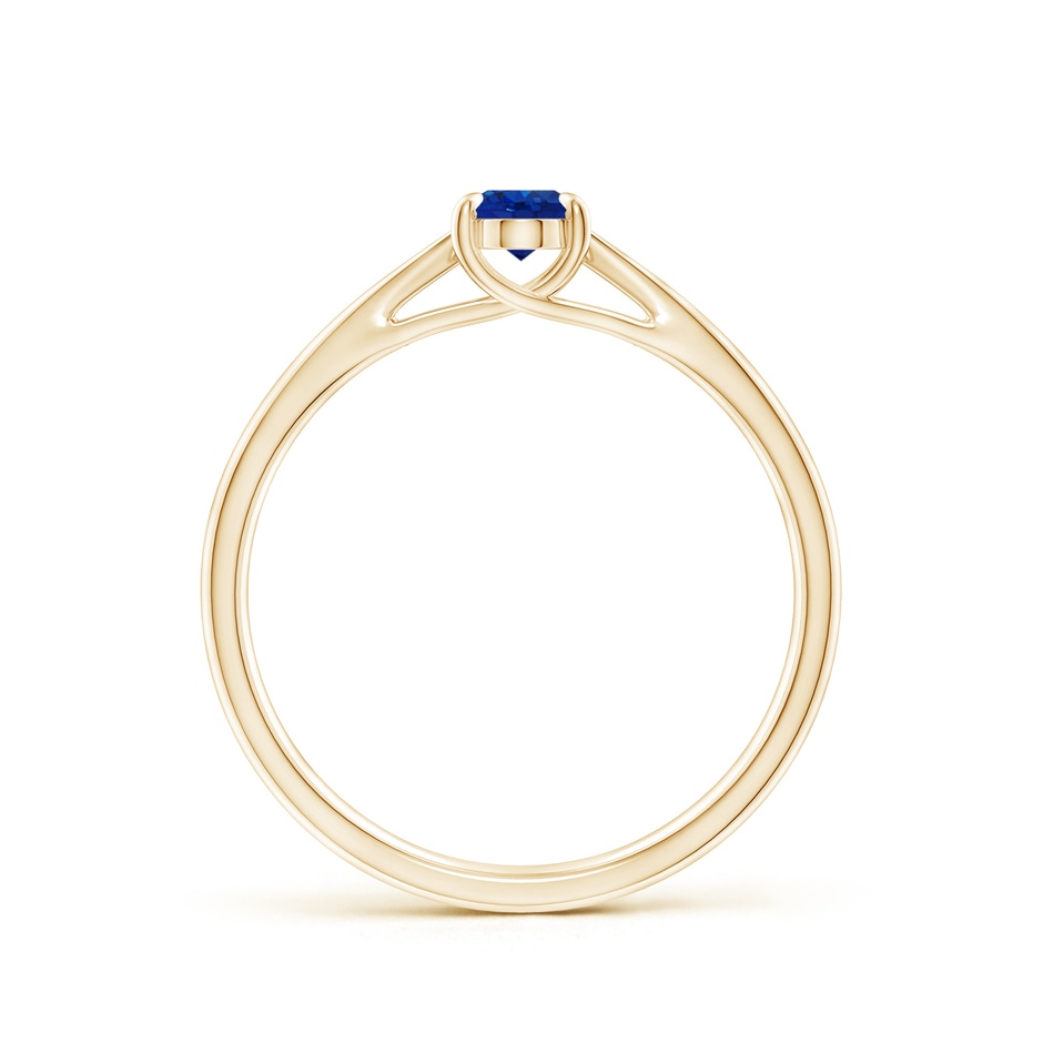 6x4mm AAA Prong-Set Oval Sapphire Cathedral Solitaire Ring in Yellow Gold side 199