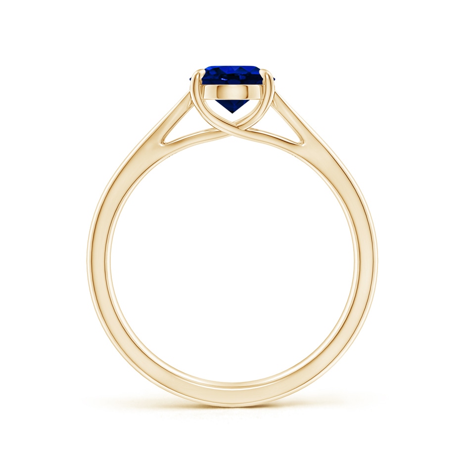 8x6mm AAAA Prong-Set Oval Sapphire Cathedral Solitaire Ring in Yellow Gold side 199