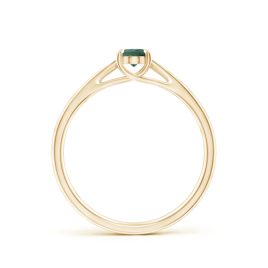 6x4mm AA Prong-Set Oval Teal Montana Sapphire Cathedral Solitaire Ring in Yellow Gold side 199
