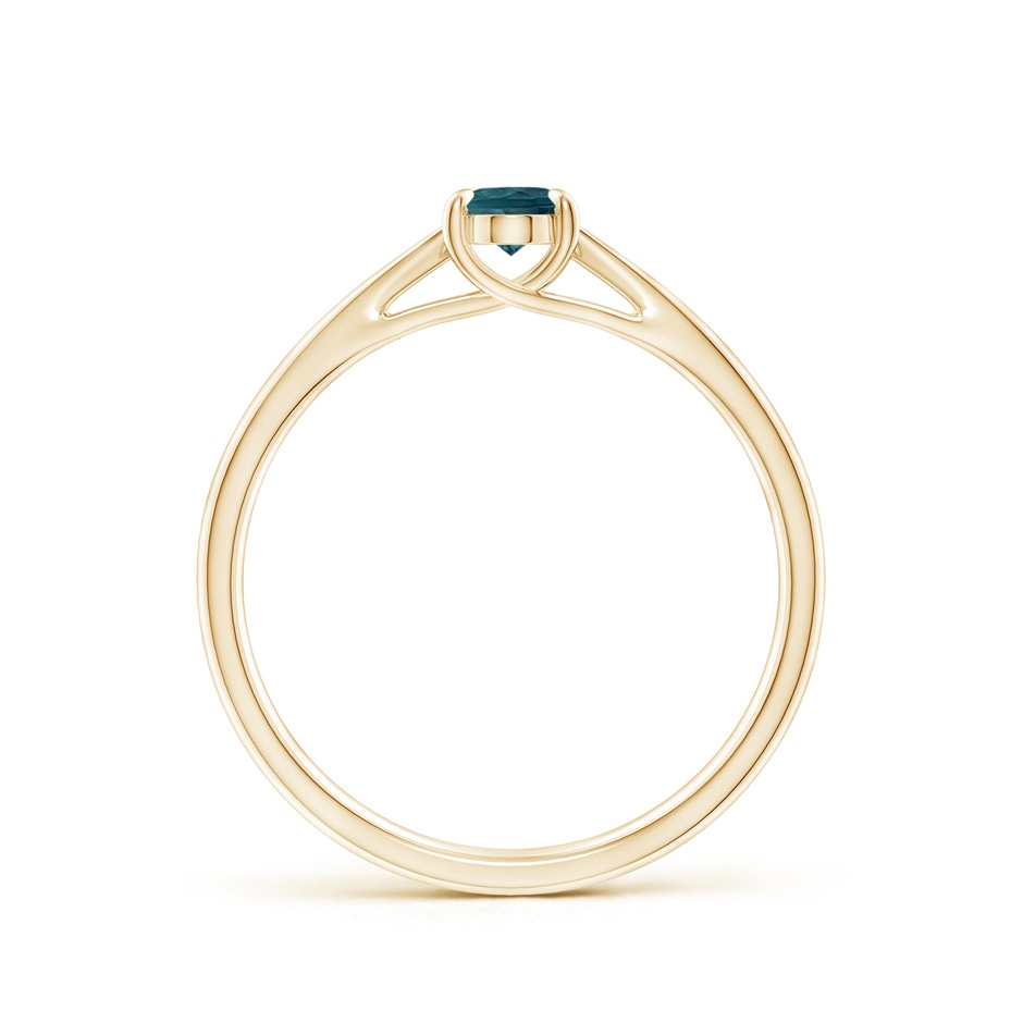 6x4mm AAA Prong-Set Oval Teal Montana Sapphire Cathedral Solitaire Ring in 10K Yellow Gold side 199