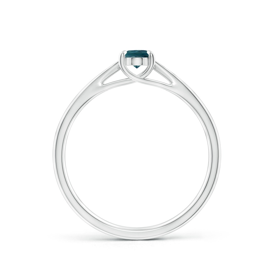 6x4mm AAA Prong-Set Oval Teal Montana Sapphire Cathedral Solitaire Ring in 18K White Gold side 199