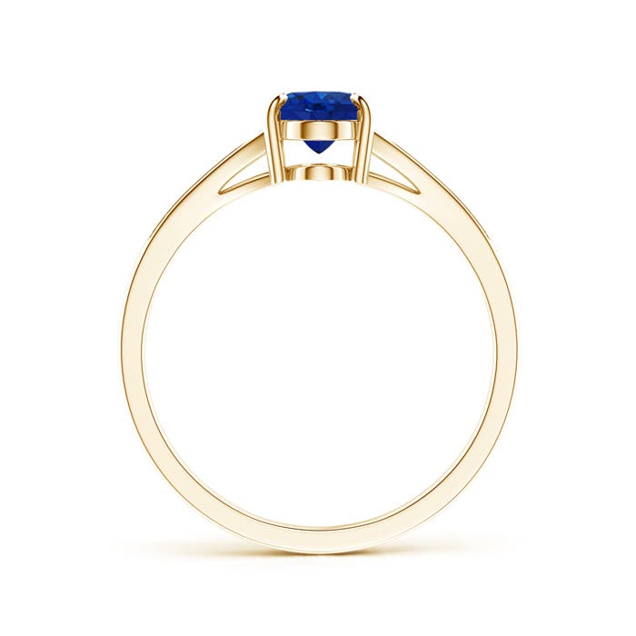 AAA - Blue Sapphire / 0.96 CT / 14 KT Yellow Gold