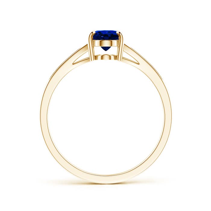 AAAA - Blue Sapphire / 0.96 CT / 14 KT Yellow Gold