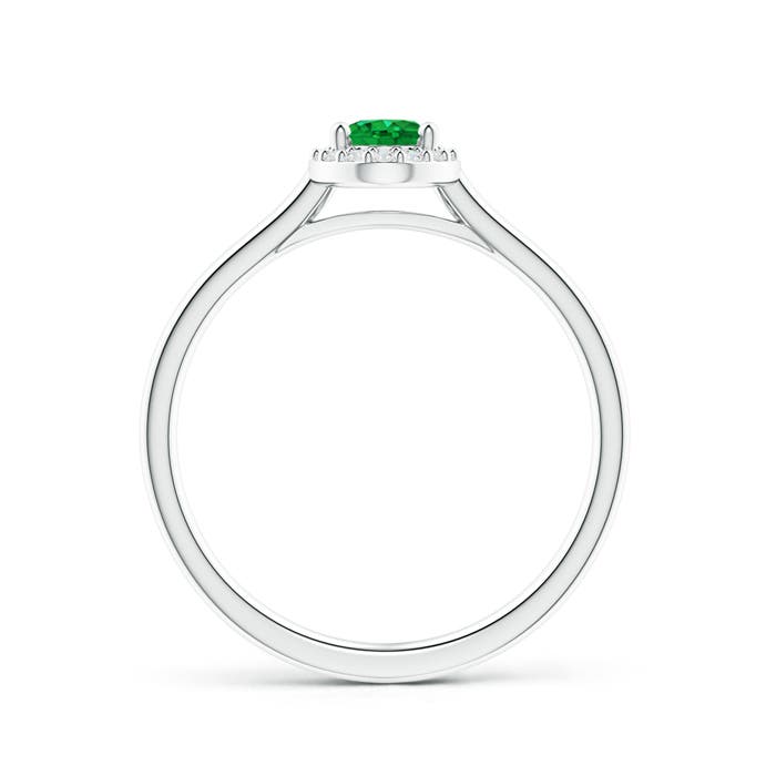 AAA - Emerald / 0.5 CT / 14 KT White Gold