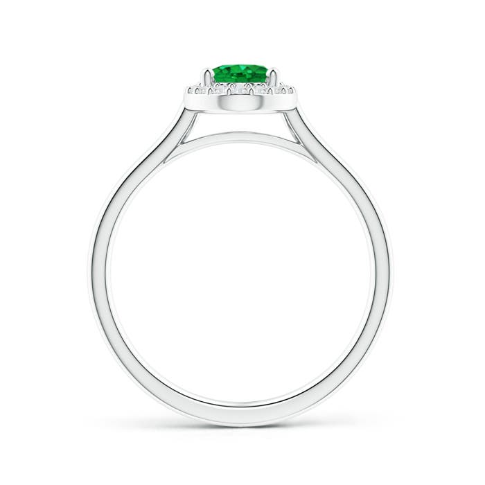 AAA - Emerald / 0.8 CT / 14 KT White Gold