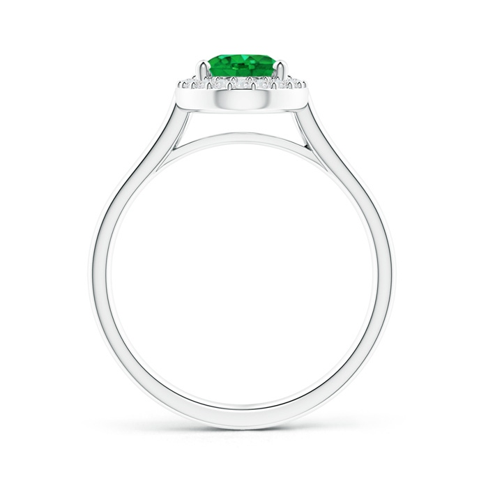 8x6mm AAA Prong-Set Oval Emerald and Diamond Halo Ring in P950 Platinum product image