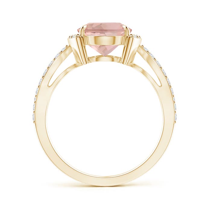 AAA - Morganite / 2.88 CT / 14 KT Yellow Gold