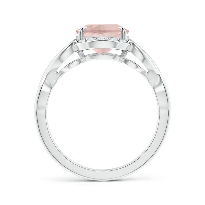 AA - Morganite / 2.6 CT / 14 KT White Gold