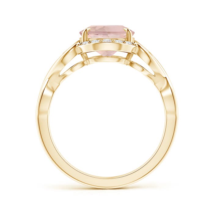 AA - Morganite / 2.6 CT / 14 KT Yellow Gold