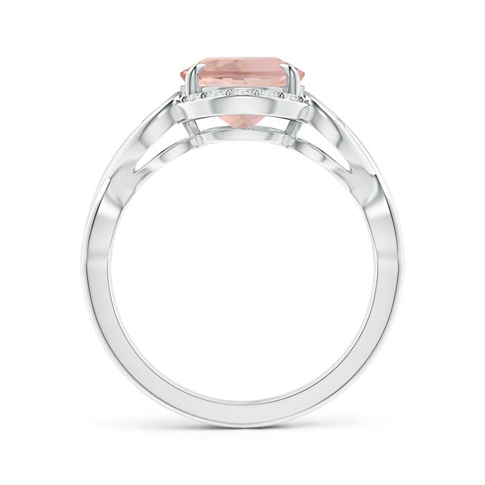 AAA - Morganite / 2.6 CT / 14 KT White Gold