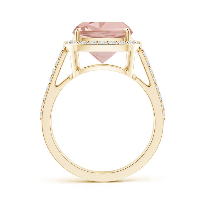 AAA - Morganite / 4.37 CT / 14 KT Yellow Gold