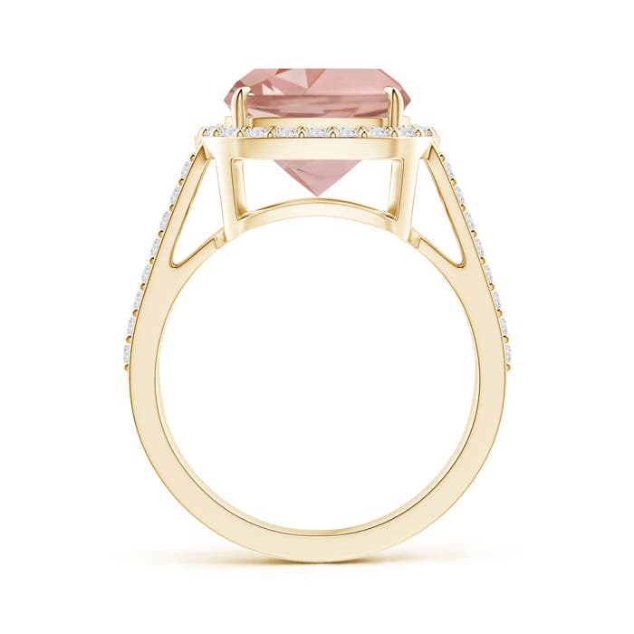 AAAA - Morganite / 4.37 CT / 14 KT Yellow Gold