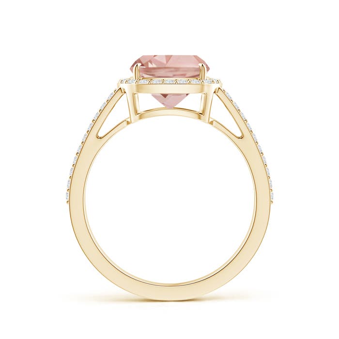 AAA - Morganite / 2.18 CT / 14 KT Yellow Gold