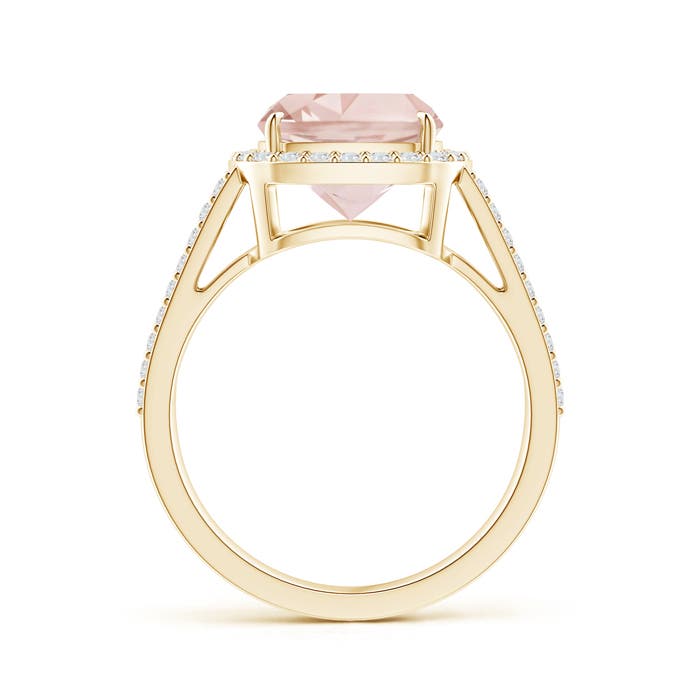 A - Morganite / 3.18 CT / 14 KT Yellow Gold