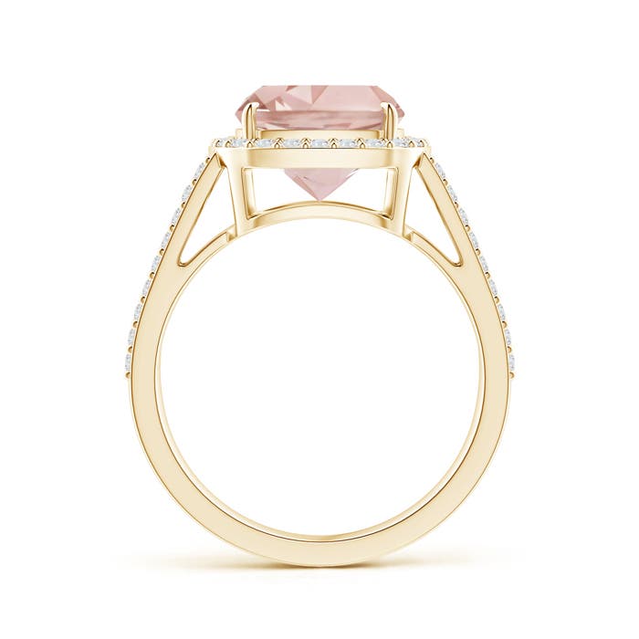 AA - Morganite / 3.18 CT / 14 KT Yellow Gold