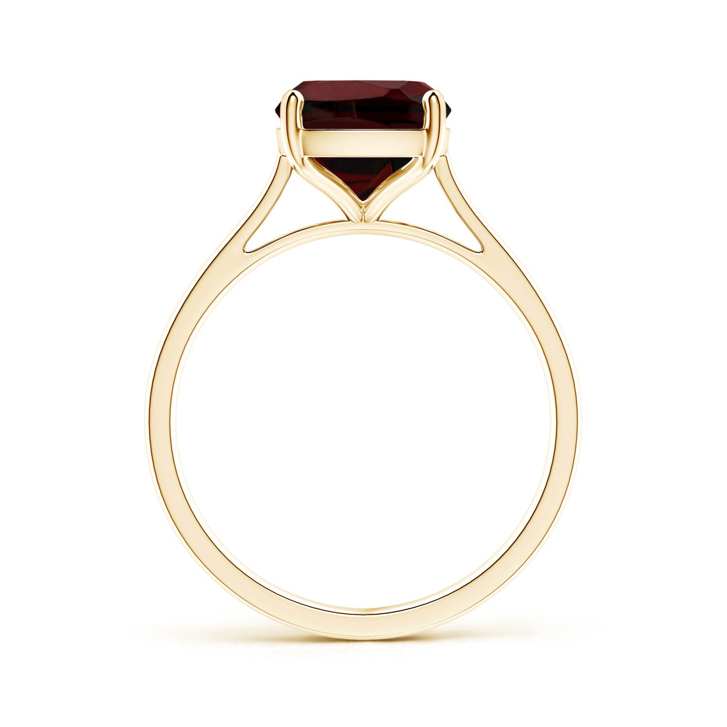 AA - Garnet / 3.35 CT / 14 KT Yellow Gold