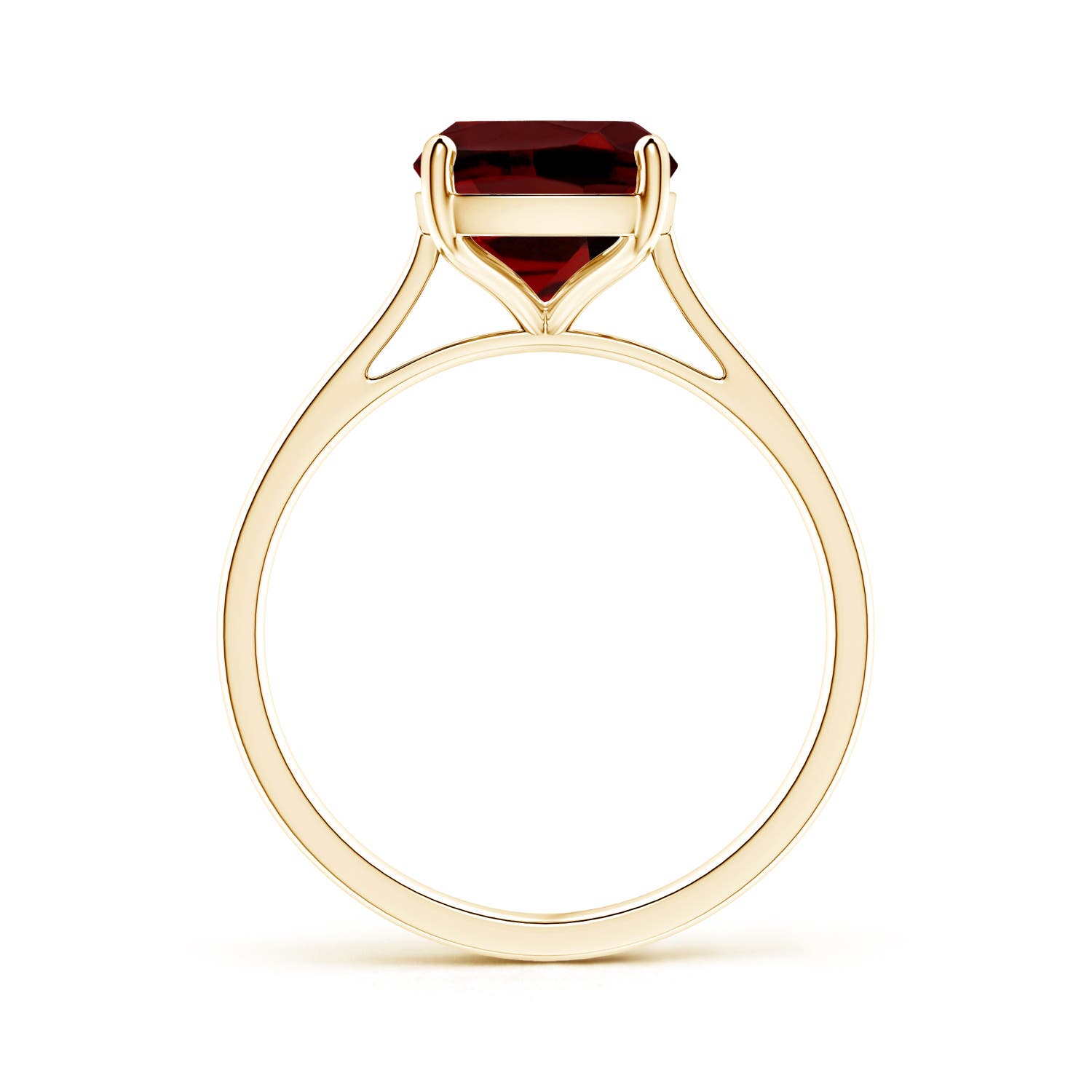 AAAA - Garnet / 3.35 CT / 14 KT Yellow Gold