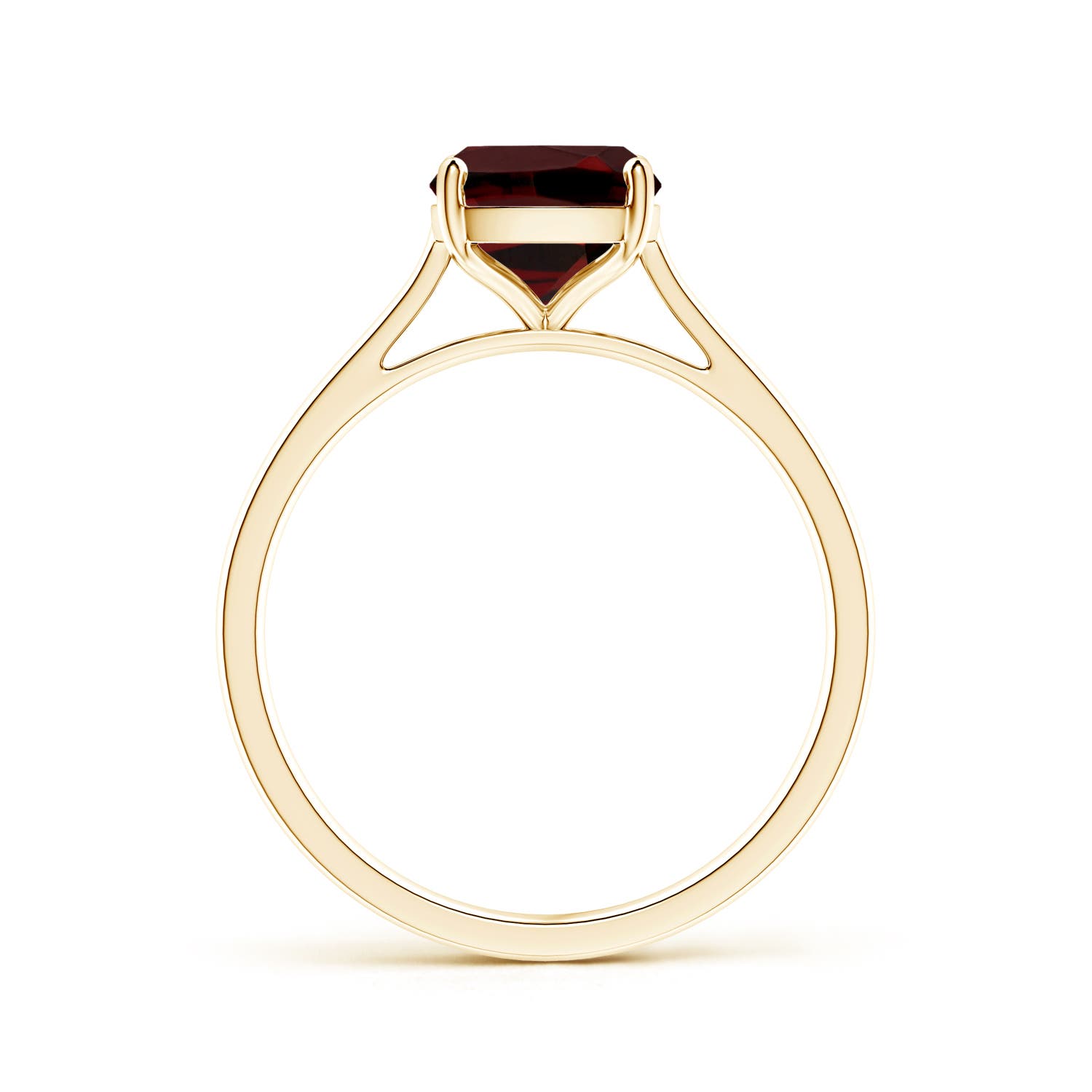 AAA - Garnet / 2.9 CT / 14 KT Yellow Gold