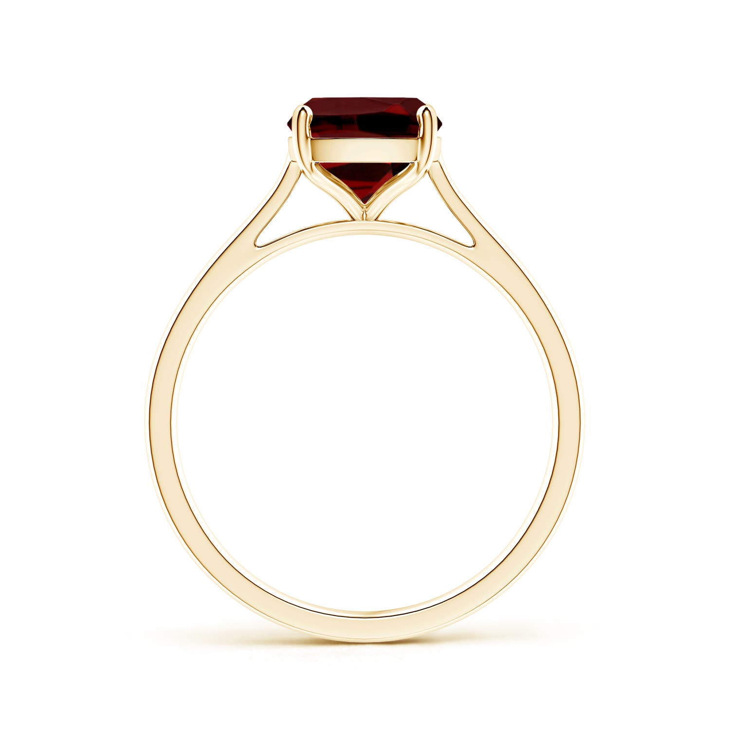 AAAA - Garnet / 2.9 CT / 14 KT Yellow Gold